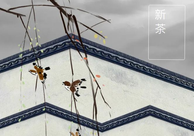 太極莊新菊上市！白菊婉清顏，芳香滿庭院